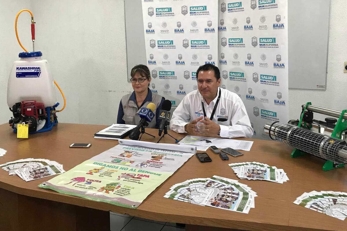 Incrementa presencia del mosco transmisor de enfermedades