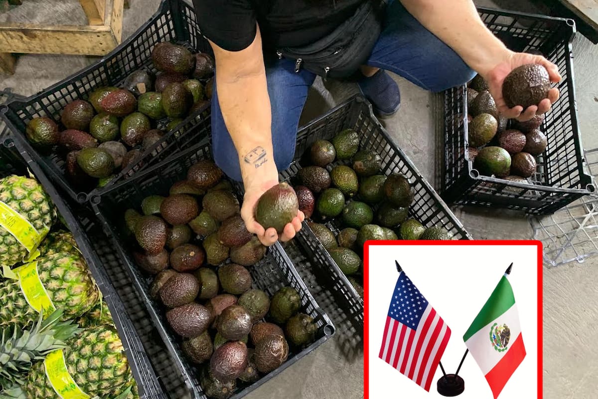 ¿Qué pasa si México se sale del T-MEC?: Esto dice la IA