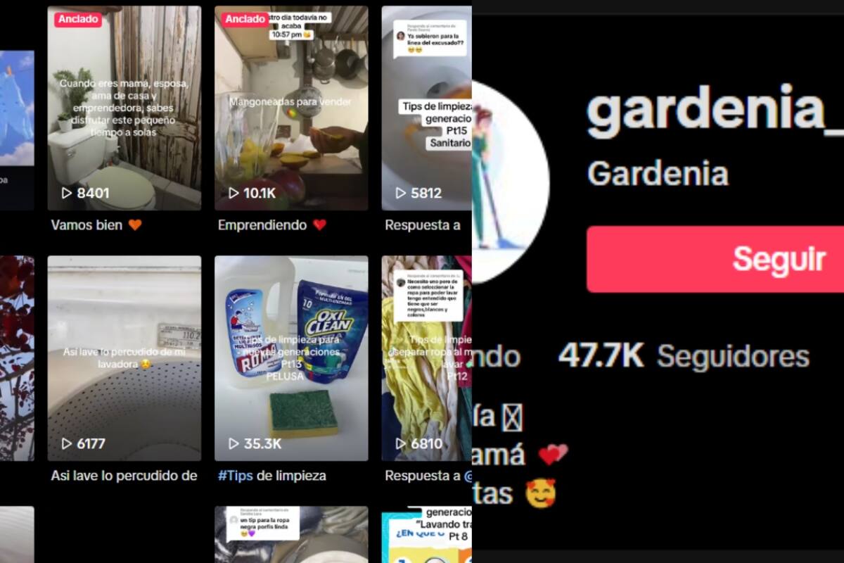 Esta mujer cuenta con un canal de TikTok con consejos de hogar para las nuevas generaciones, con más de 47 mil seguidores