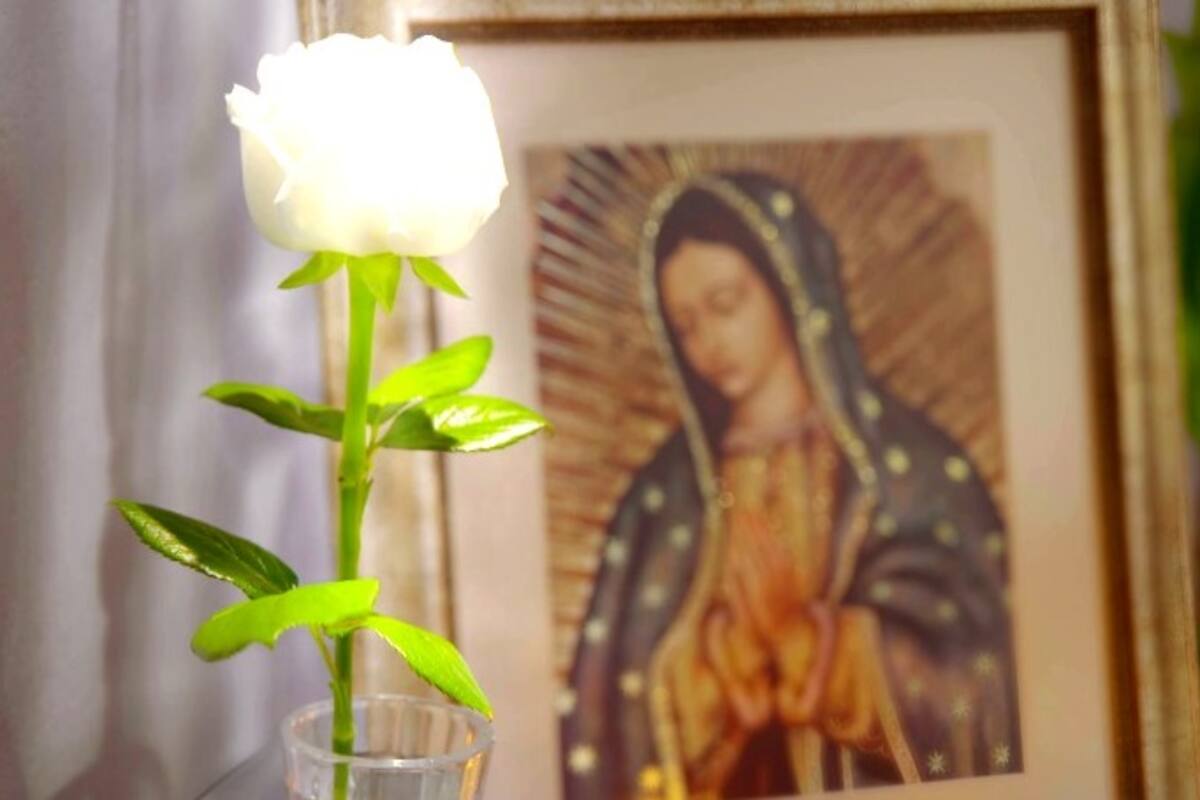 Anuncian temporada catorce de "La Rosa de Guadalupe" para el próximo año