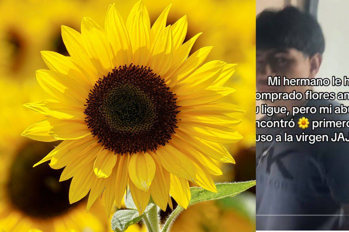 Hombre compra flores amarillas para su pareja; pero su abuela se las pone a la Virgen María