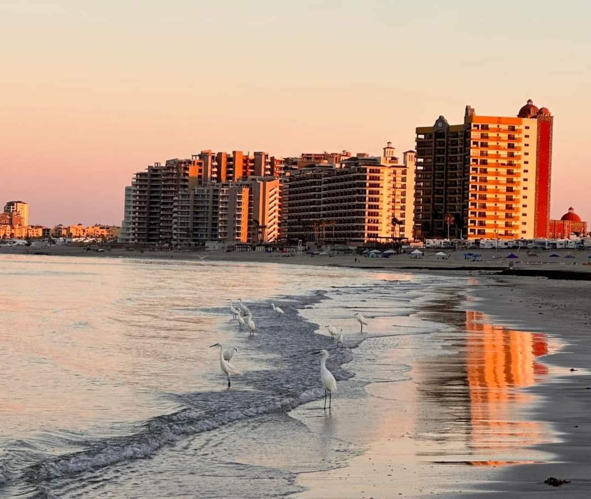De pueblo pesquero a ciudad futurista: La metamorfosis de Puerto Peñasco.