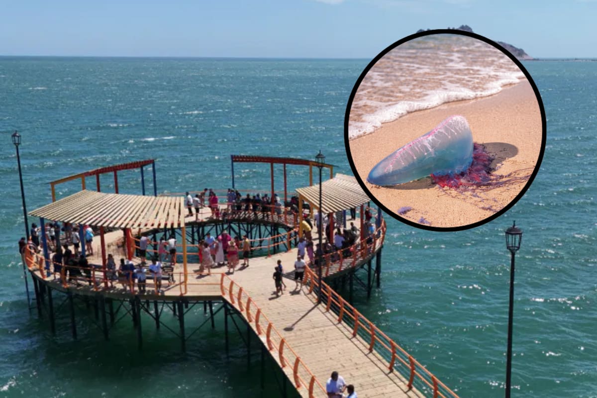 Quemaduras por “agua mala”, lo más atendido en Bahía de Kino