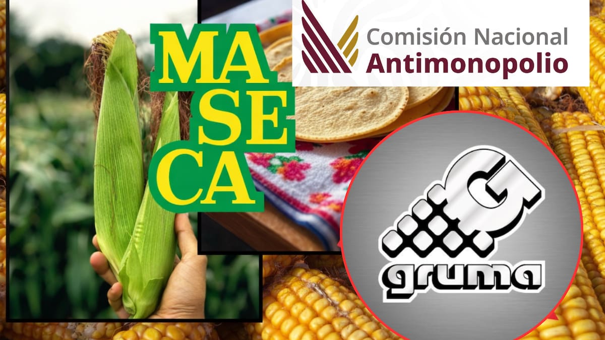 Gruma cede ante la autoridad antimonopolio, elimina contratos de exclusividad y reabre la competencia en el mercado de la tortilla que mueve millones cada día en México