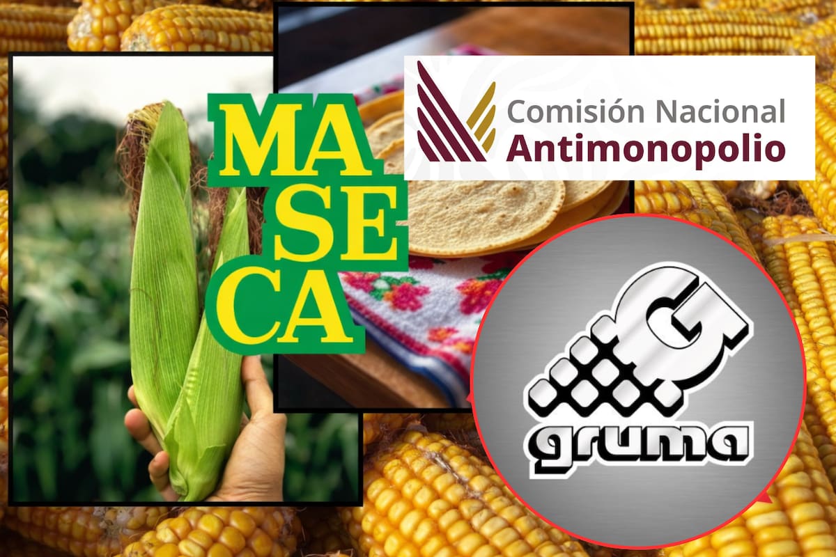 Gruma cede ante la autoridad antimonopolio, elimina contratos de exclusividad y reabre la competencia en el mercado de la tortilla que mueve millones cada día en México