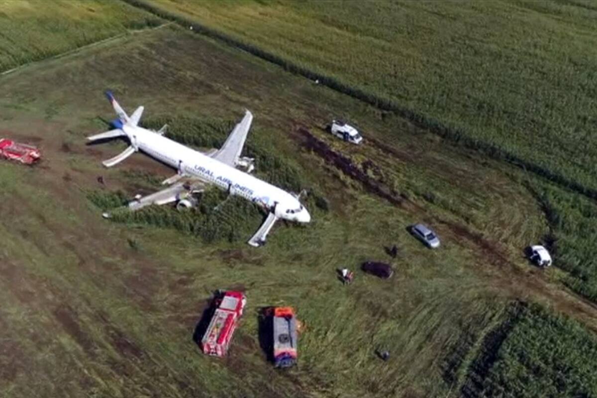 Piloto es aclamado como héroe tras aterrizar avión en campo de maíz en Rusia