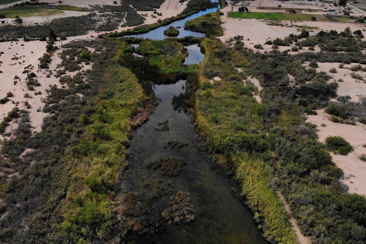 Buscan salvar del ocaso al Río Colorado