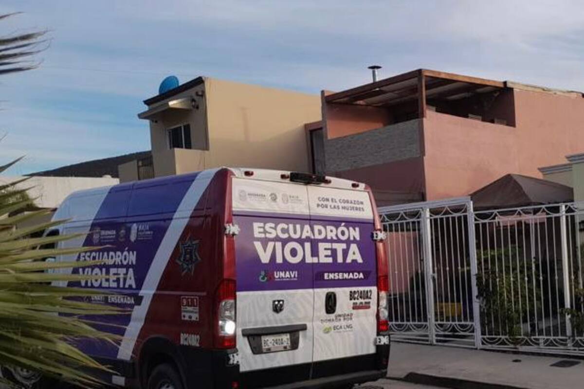 Convertirán al Escuadrón Violeta en Sistema Violeta
