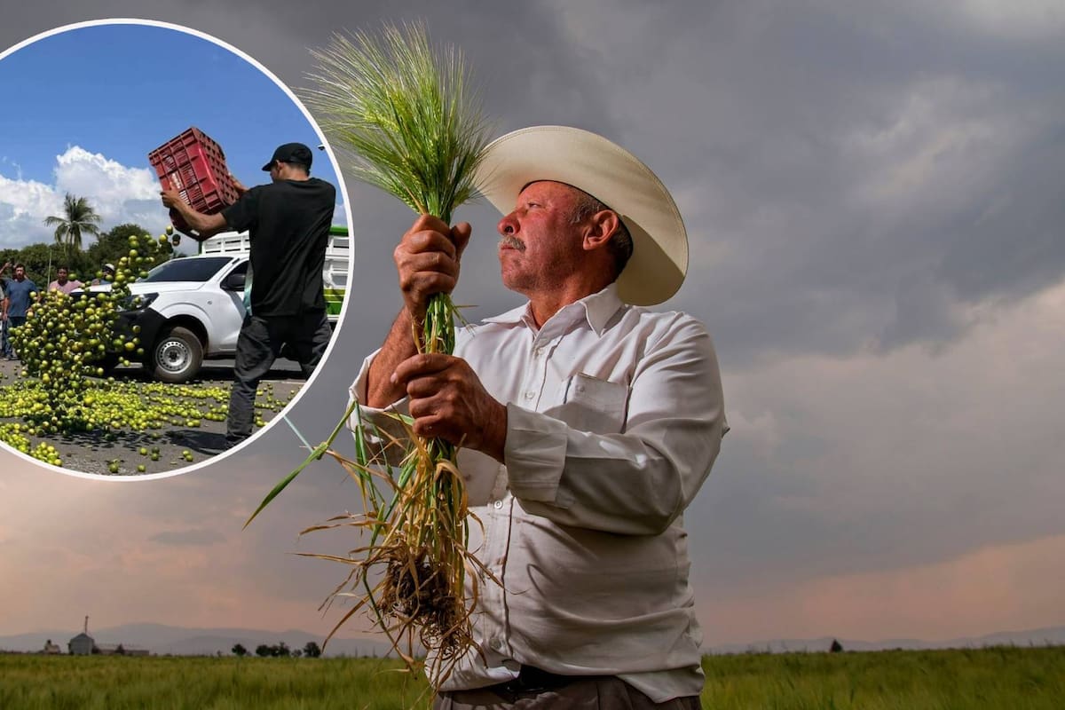 Campesinos amenazan con cierre total para el lunes “si el gobierno no resuelve”, ¿Por qué prefieren tirar o regalar sus cosechas a aceptar los pagos de intermediarios?