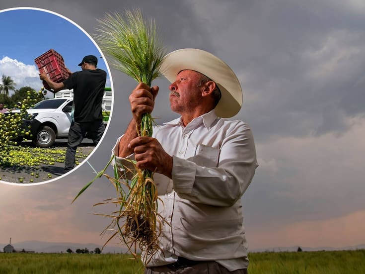 Campesinos amenazan con cierre total para el lunes “si el gobierno no resuelve”, ¿Por qué prefieren tirar o regalar sus cosechas a aceptar los pagos de intermediarios?