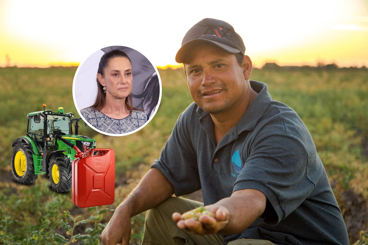 Hacienda deja sin estímulos fiscales a gasolina y diésel para pesca y campo en junio de 2026; productores seguirán pagando IEPS sin apoyo federal