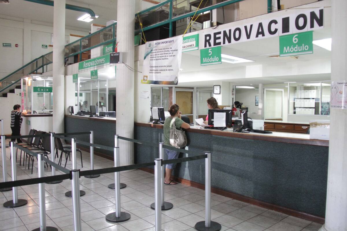Estudiantes en el extranjero podrán solicitar beca de hasta 50 mil pesos