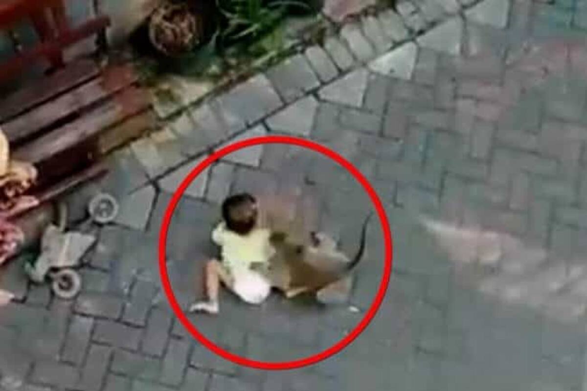 Mono en motocicleta molesta a niña