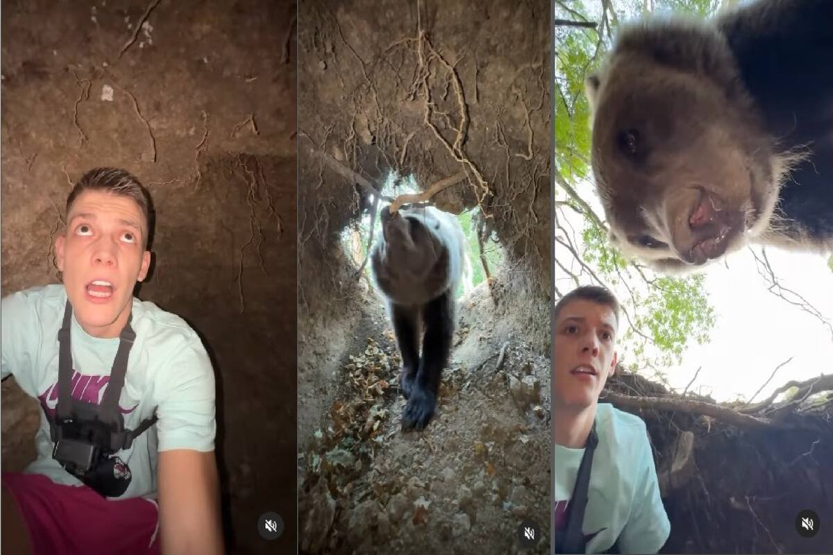 VIDEO: Influencer entra en la guarida de un oso y así fue su impactante encuentro al salir
