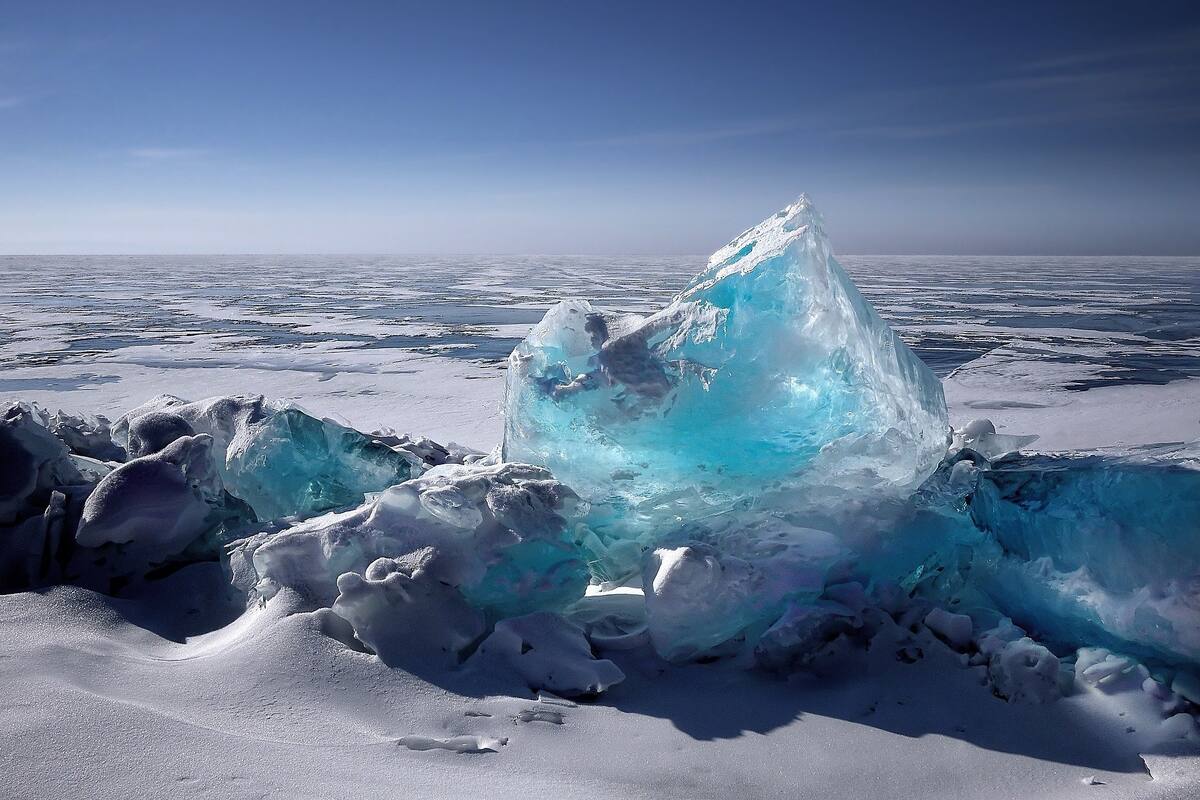 Encuentran un diminuto animal que sobrevivió 24 mil años congelado en el permafrost siberiano