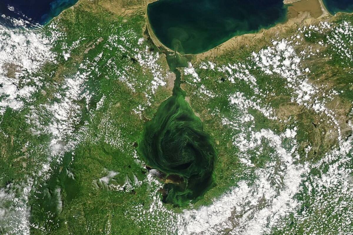Las imágenes de satélite que muestran cómo el lago Maracaibo se está volviendo verde (y las consecuencias fatales que tiene)