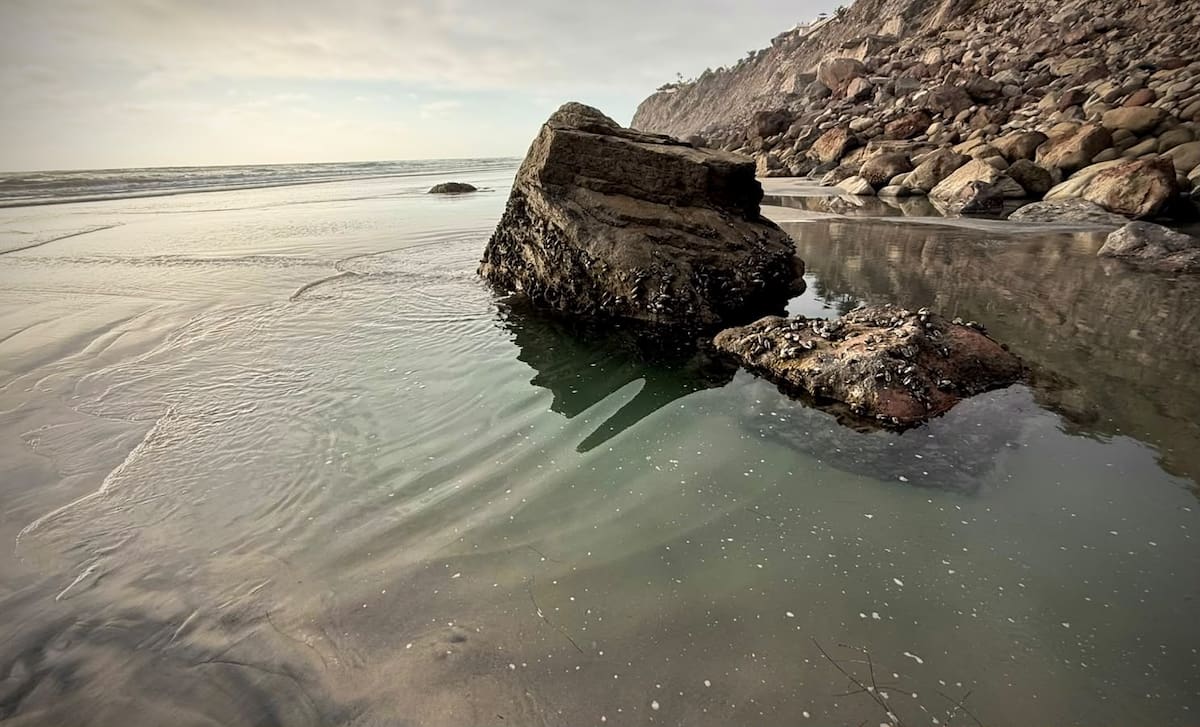 La marea baja en Playas de Rosarito dejó al descubierto la zona rocosa de Alisitos y parte del ecosistema marino que permanece cubierto durante la pleamar. Foto: Cortesía / Border Zoom