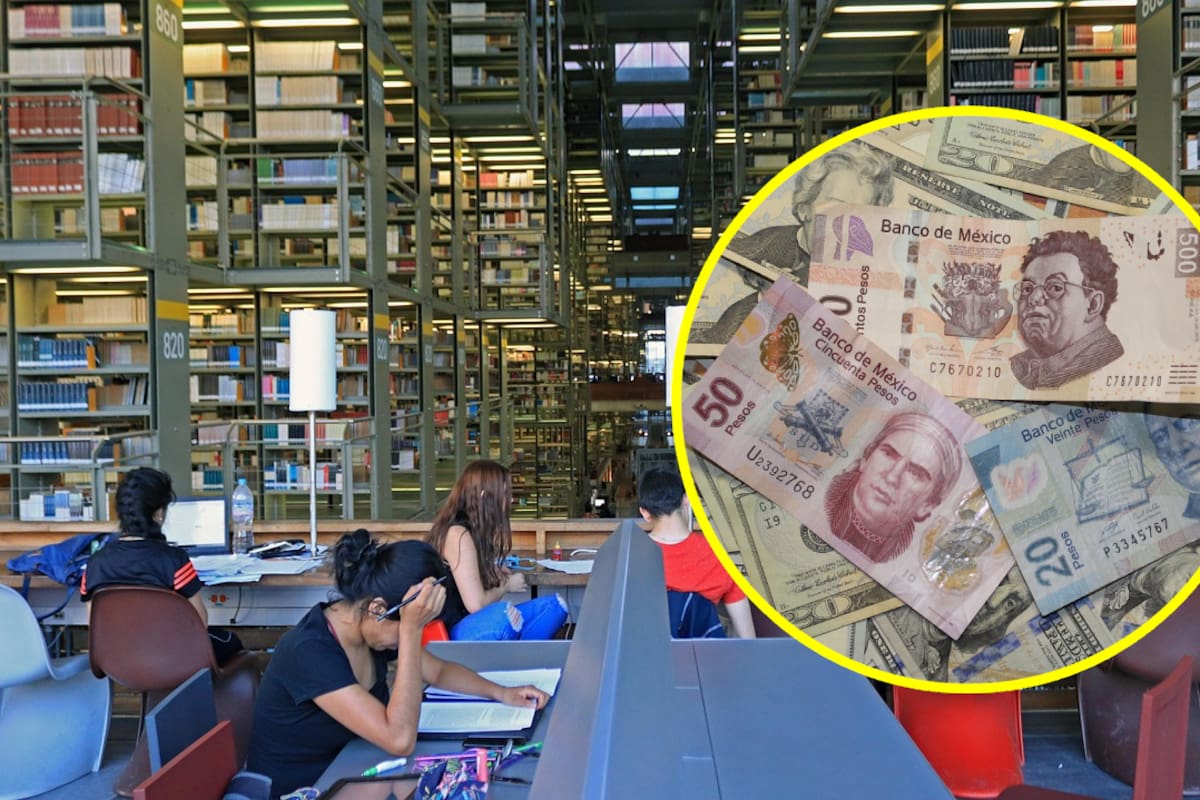 ¿Cuáles carreras estudiar en México este 2025 para ser de la clase media?