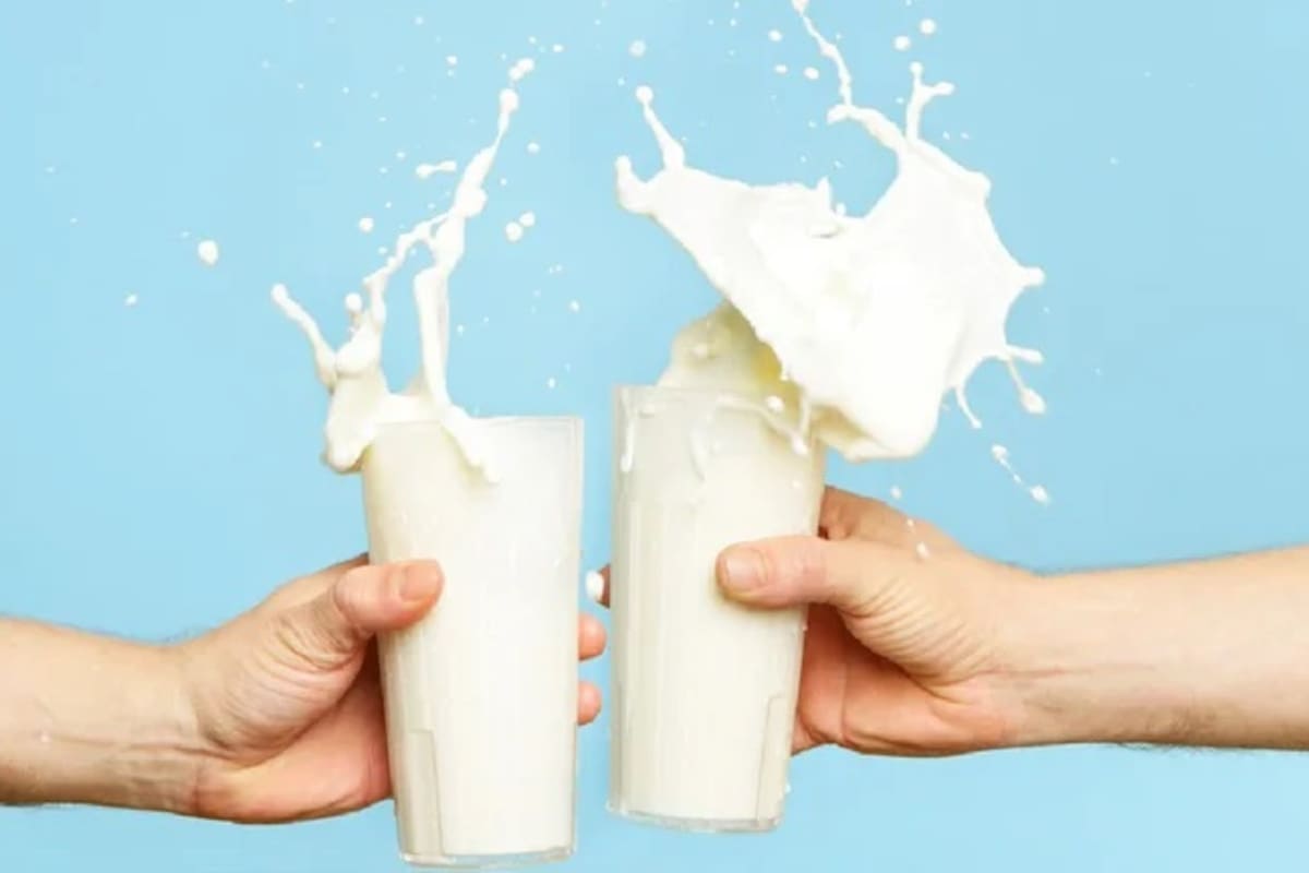 ¿Cuáles son las marcas de leche falsas y cuáles sí cumplen con lo que dice su etiqueta? Profeco revela lista completa