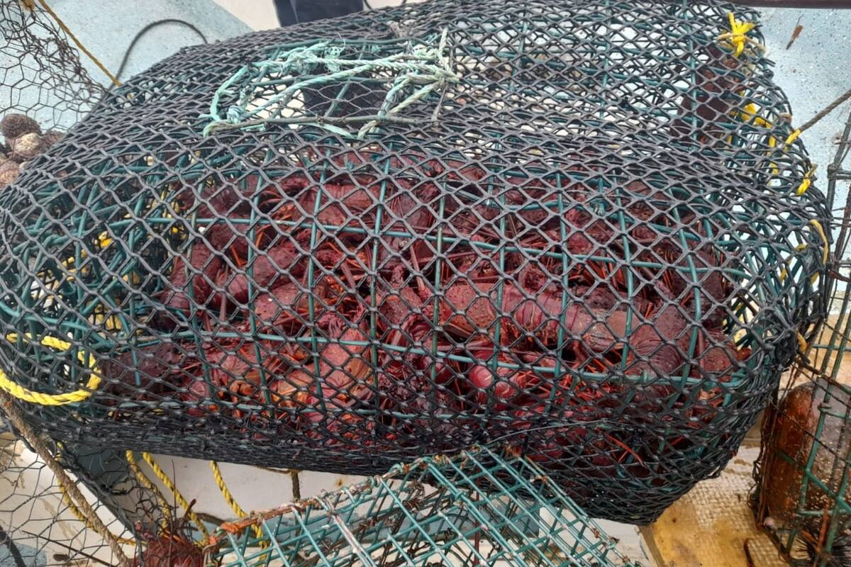 Denuncian la legalización de pesca ilegal