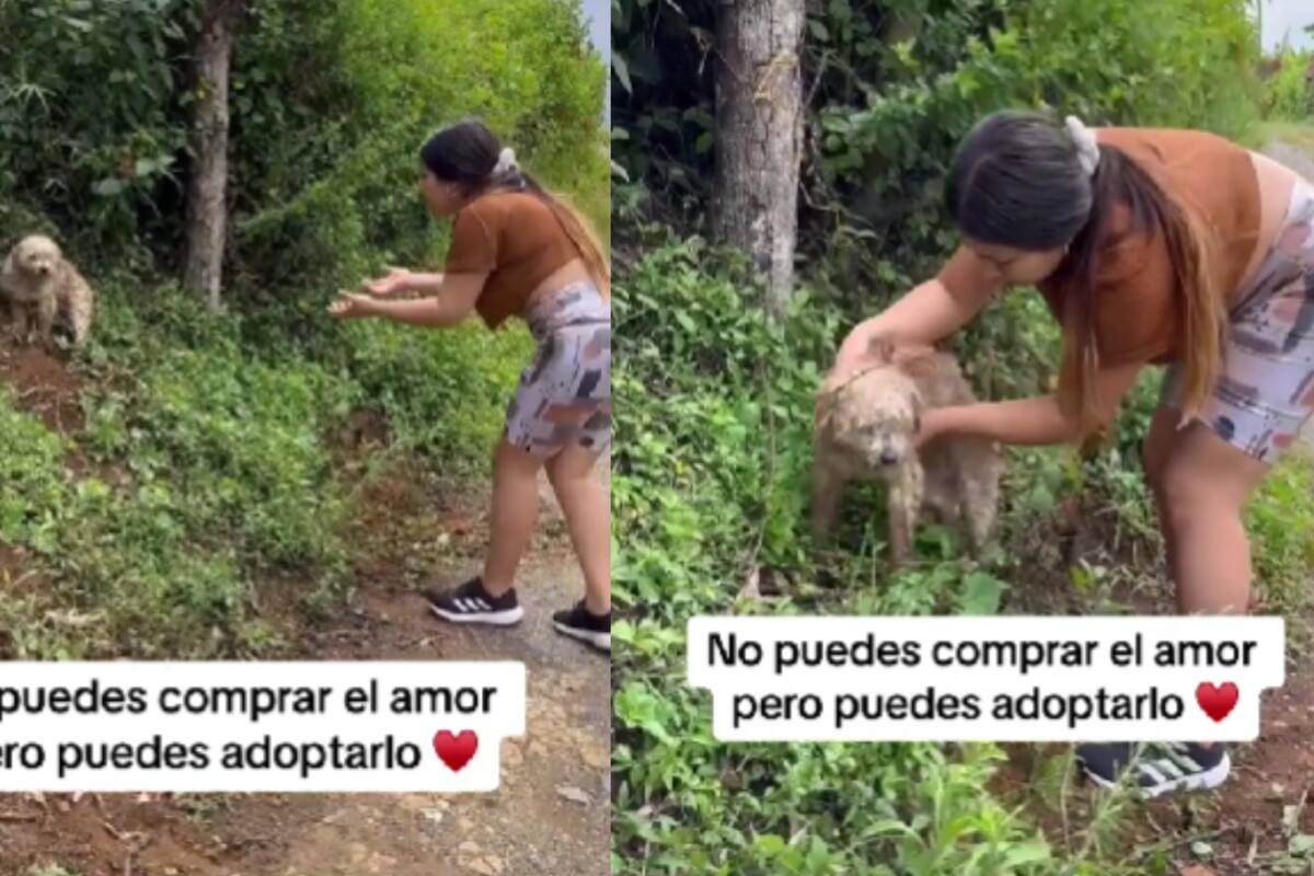 “No puedes comprar el amor, pero puedes adoptarlo”: Joven muestra cómo rescató a su perro