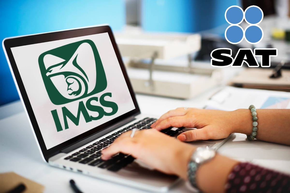 Si una empresa todavía utiliza el NPIE para sus gestiones electrónicas, lo recomendable es verificar que cuenta con una e.firma vigente emitida por el SAT. | Foto: Pexels