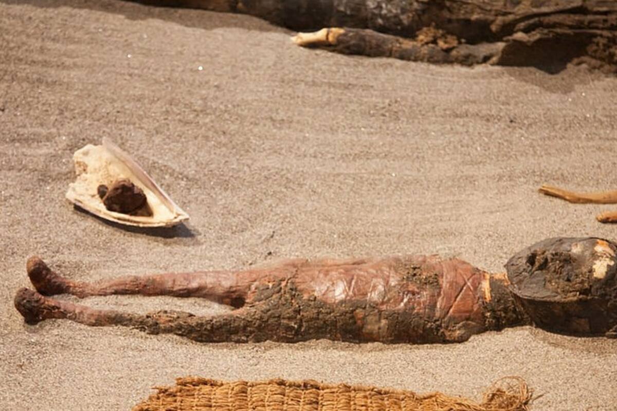 Cultura chinchorro: la población de Chile donde los habitantes aprendieron a vivir rodeados de las momias más antiguas del mundo