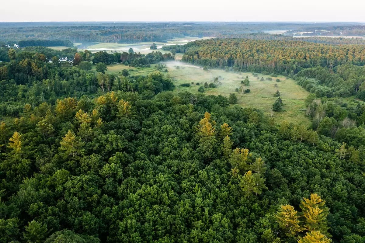 Reserva Highland Farm. Foto: Yorklandtrust