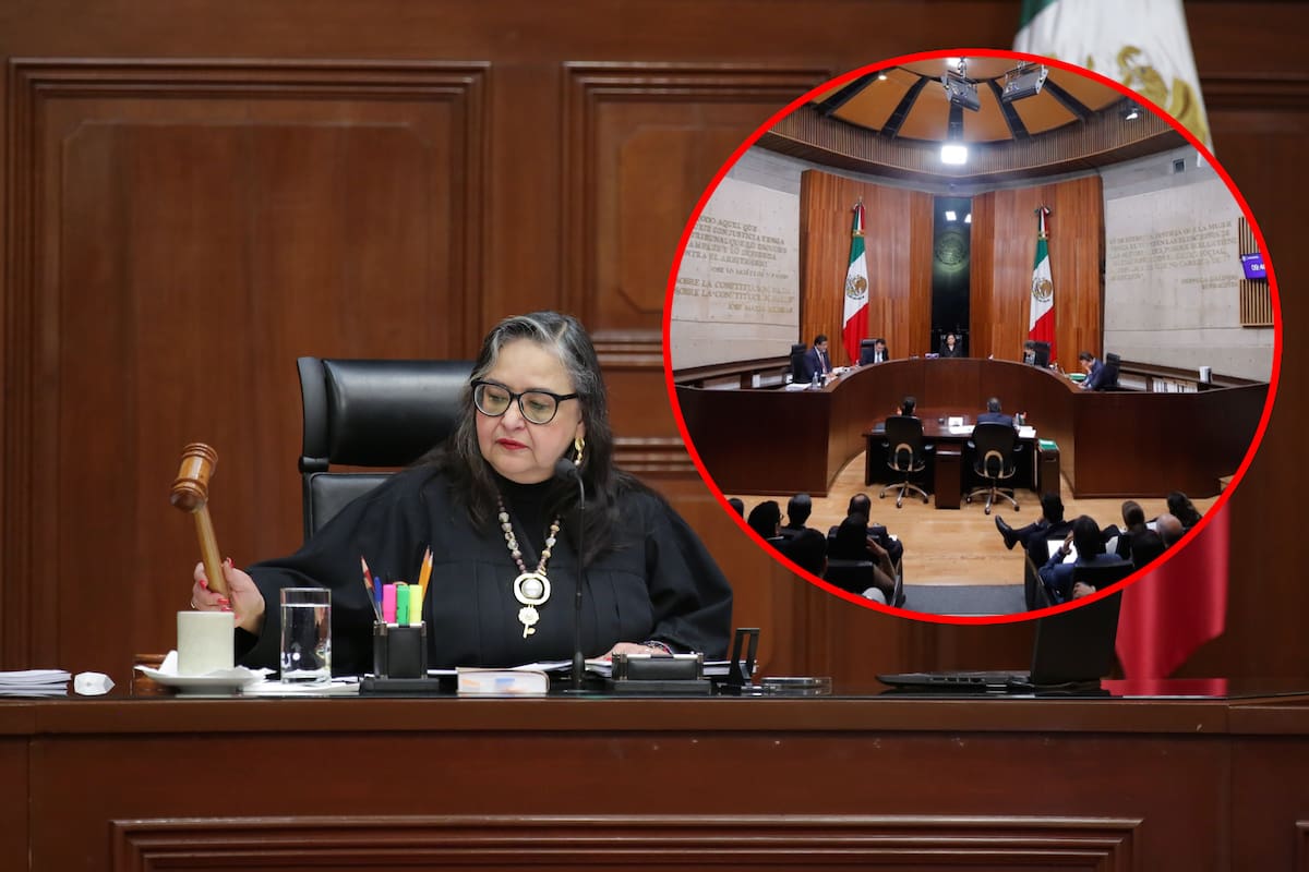 Rechaza Comité Judicial acatar fallo del TEPJF; deja decisión a la SCJN de Norma Piña