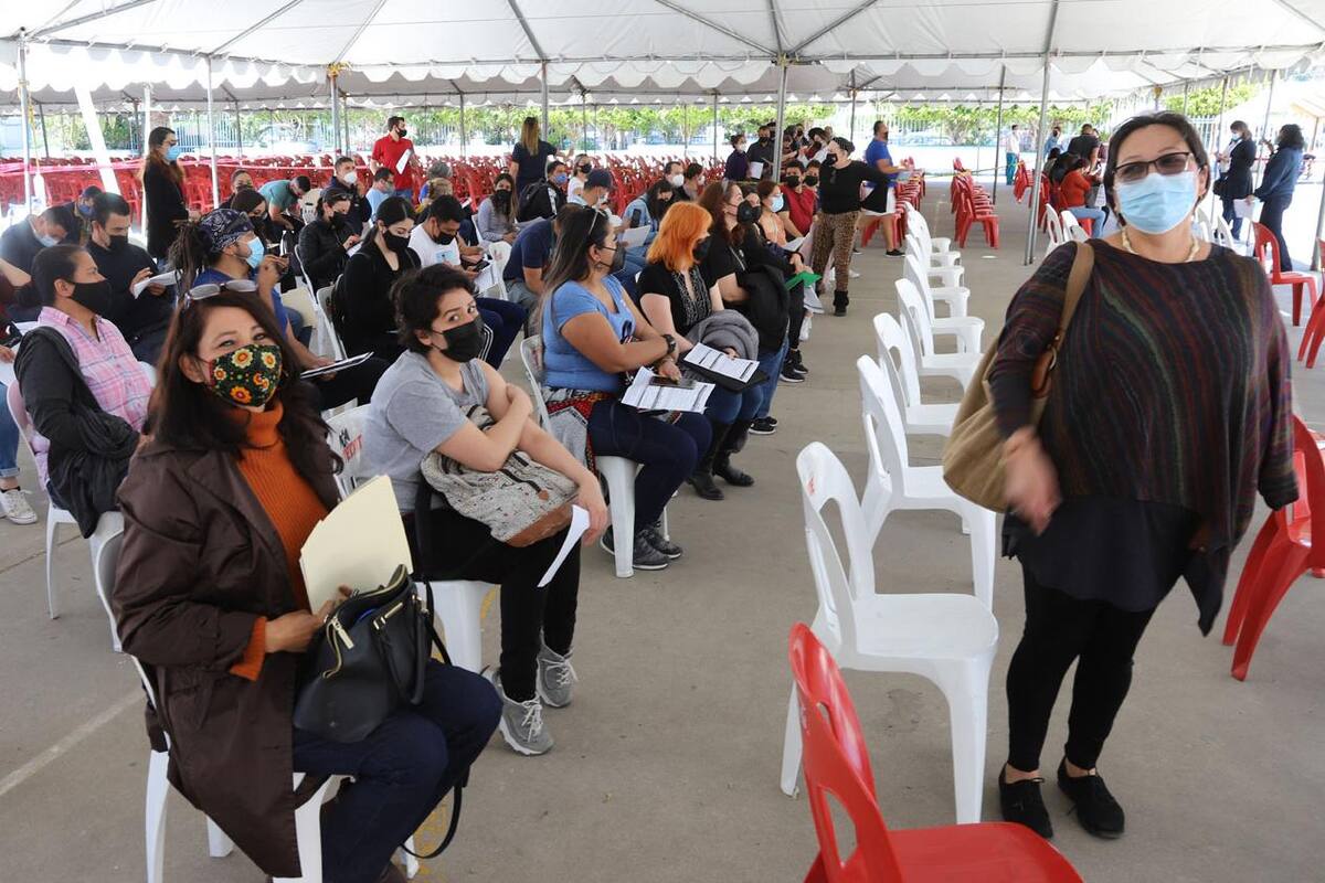Secretaría de Educación convoca a maestros que no han sido vacunados contra Covid-19