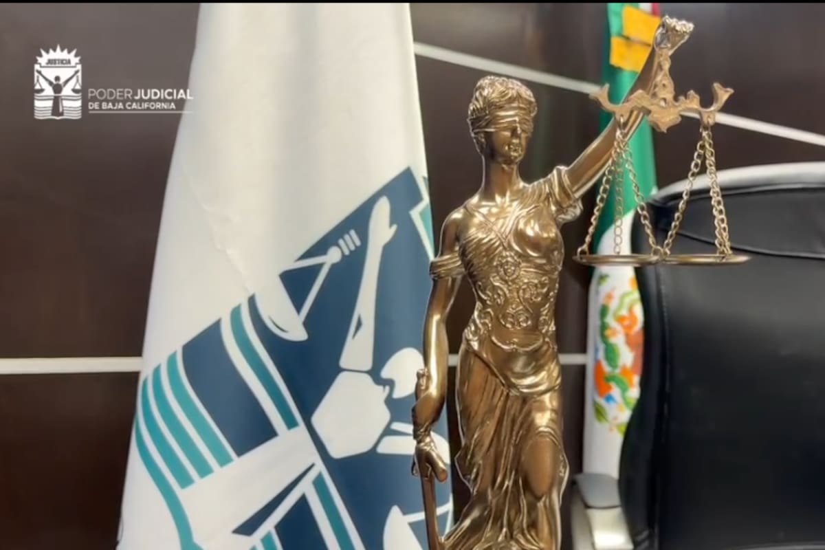 ¿Eres especialista o traductor? El Poder Judicial de BC busca integrar su padrón de peritos