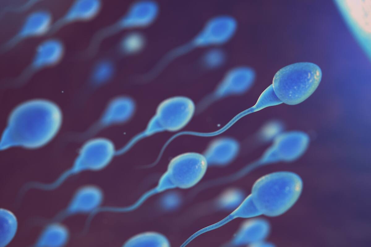 Los espermatozoides nos han ‘engañado' durante 300 años, ahora por fin sabemos cómo se mueven