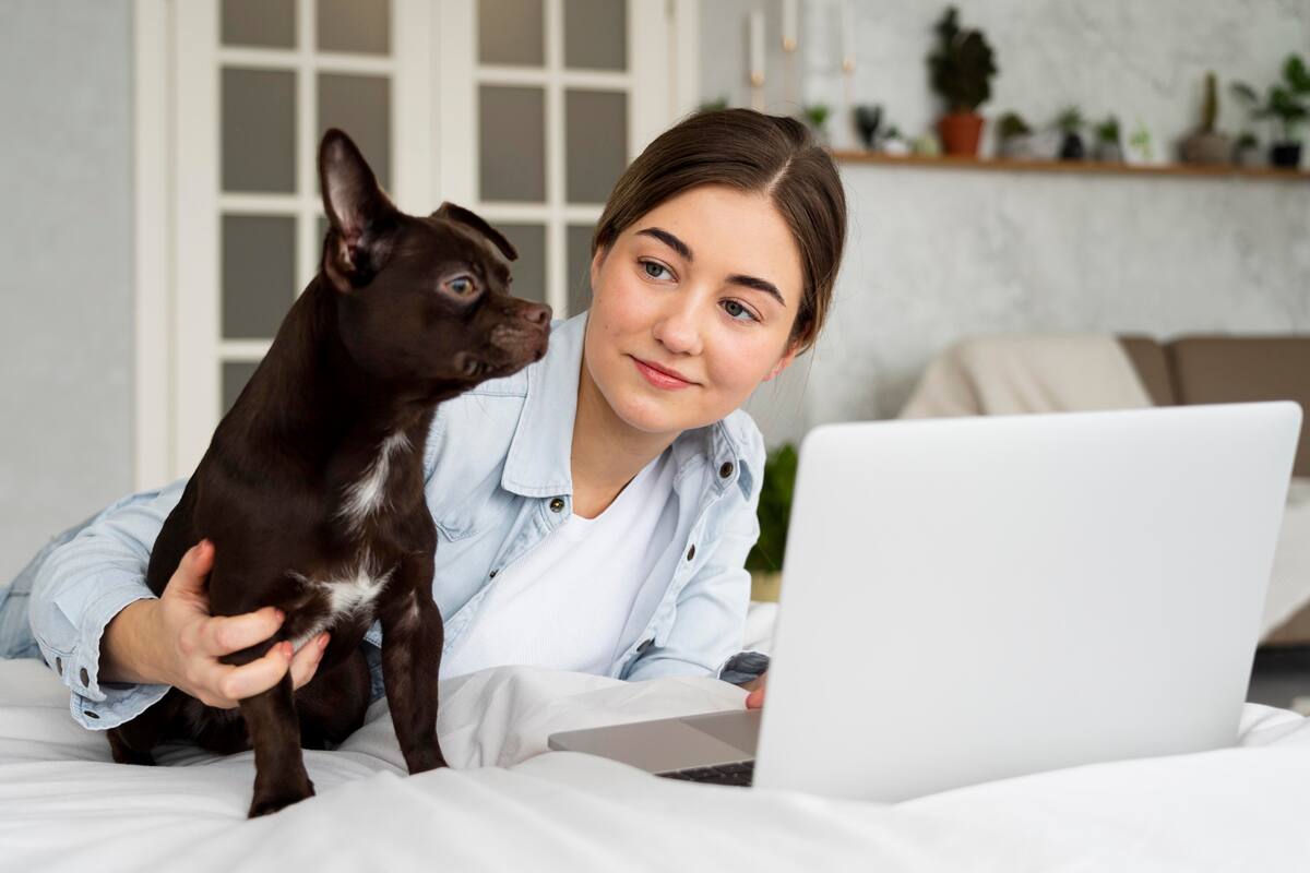 3 consejos financieros si vas a tener una mascota
