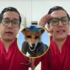 Médico veterinario reveló que le aplicó eutanasia a un paciente que se identificaba como Therian