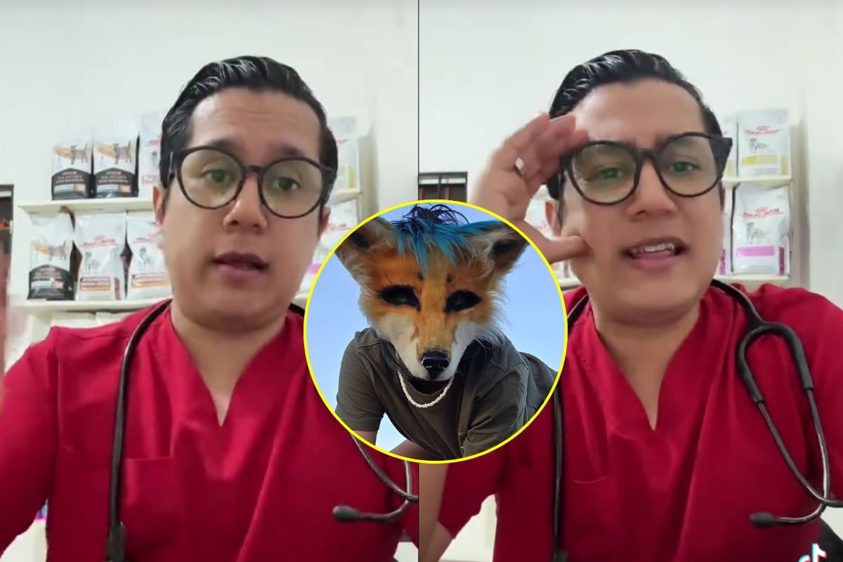 Médico veterinario reveló que le aplicó eutanasia a un paciente que se identificaba como Therian