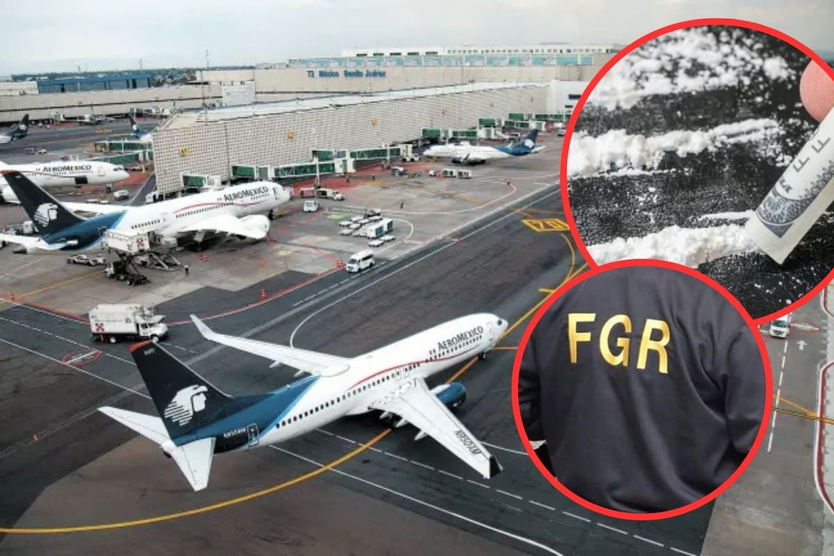 Secretaría de Marina‑Armada de México y Fiscalía General de la República desmantelan red que traficaba cocaína en el AICM