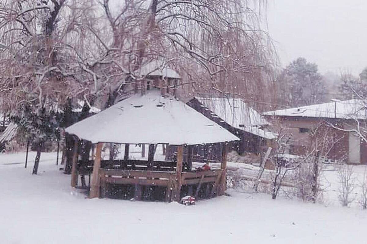 La tarde de ayer se reportó la caída de nieve en Mesa Tres Ríos, en el Municipio de Nácori Chico, por lo que las autoridades estatales hicieron recomendaciones. FOTO: ESPECIAL