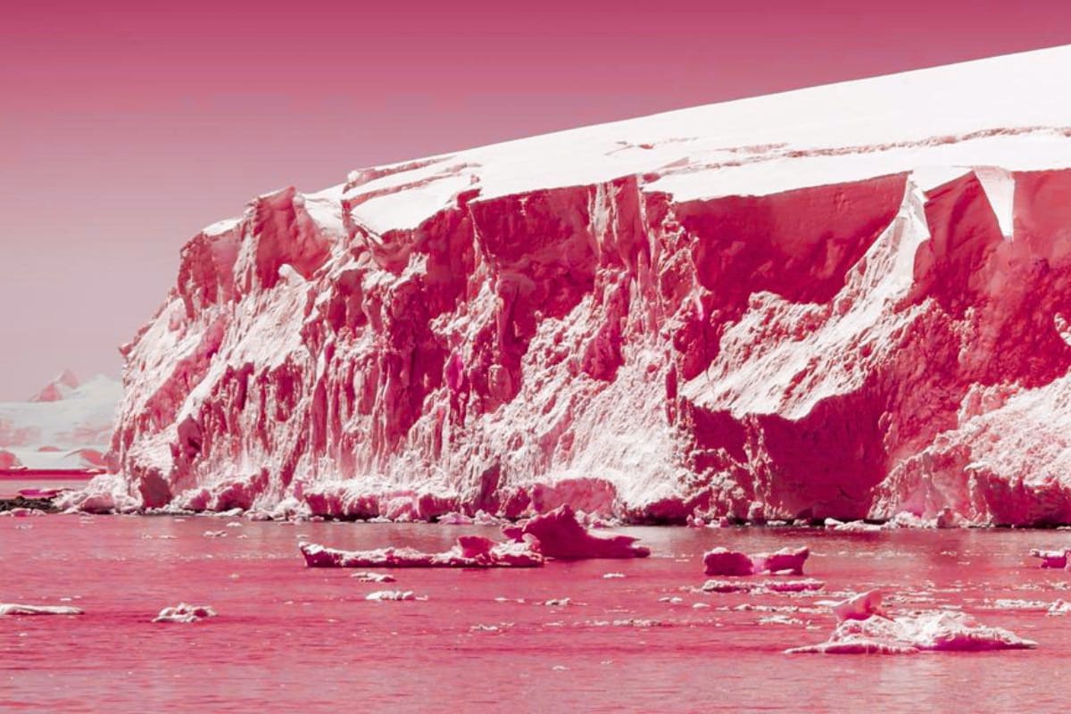 Glaciar del Juicio Final podría colapsar por aguas cálidas en la Antártida