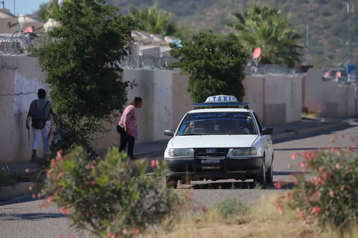 Unidades emergentes y taxis colectivos entran mañana a brindar el servicio