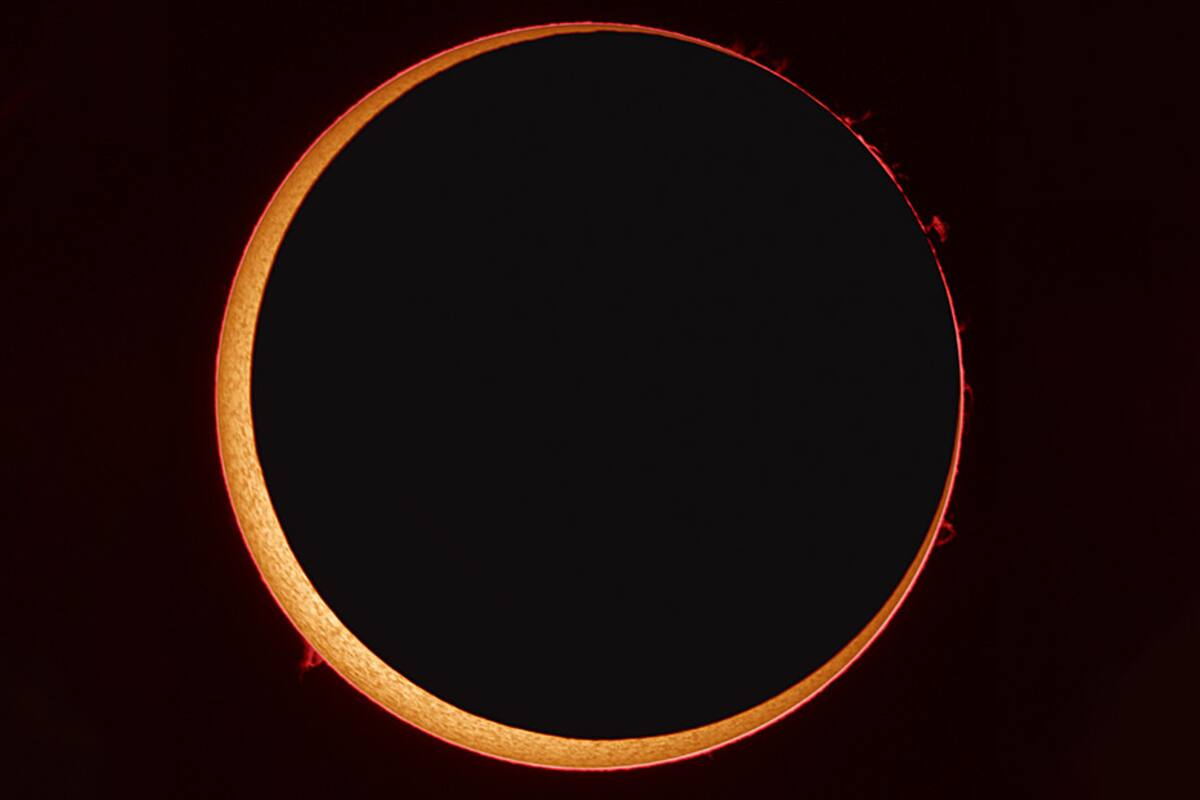Dos eclipses solares se podrán ver en México en el 2023 y 2024