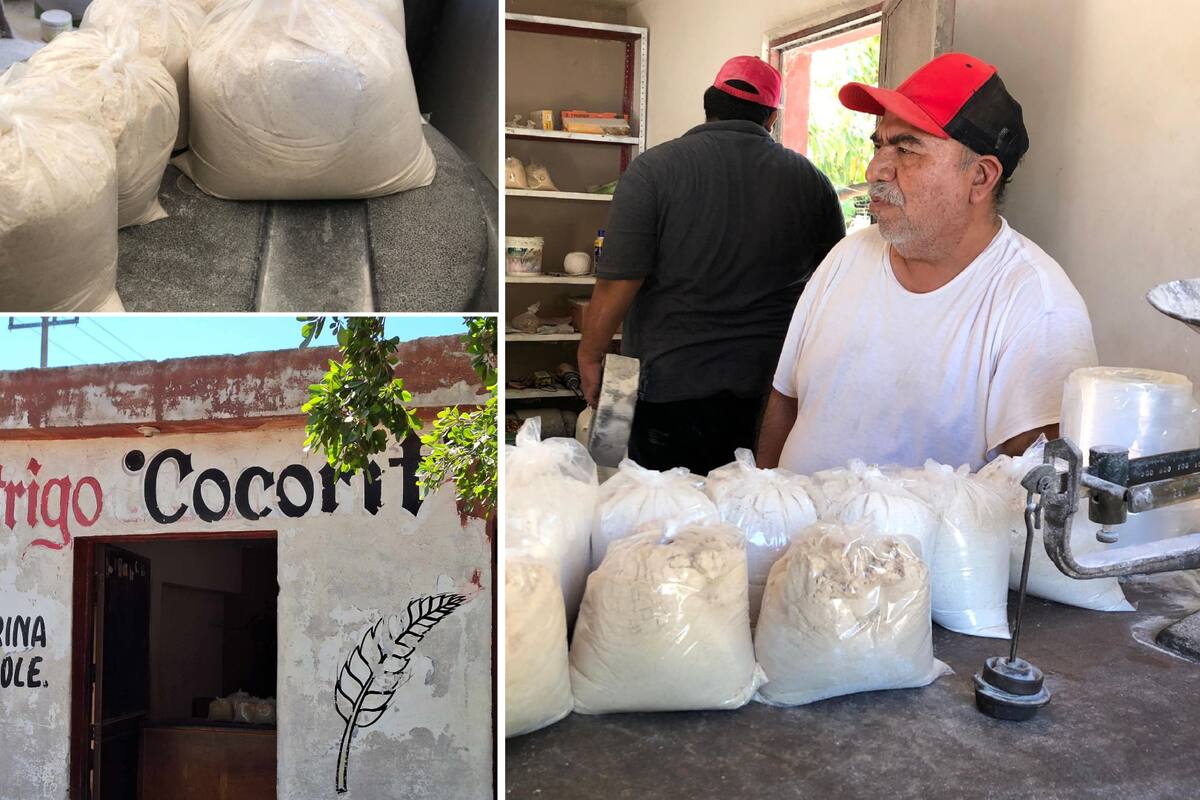 Comienzan a repuntar venta de pinole en el Molino de Cócorit