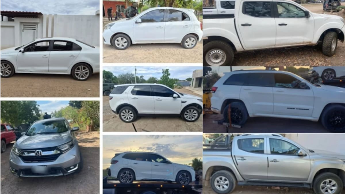 Aseguran 13 vehículos robados en Sinaloa con números de serie alterados, descubren esta modalidad usada para ocultar su origen