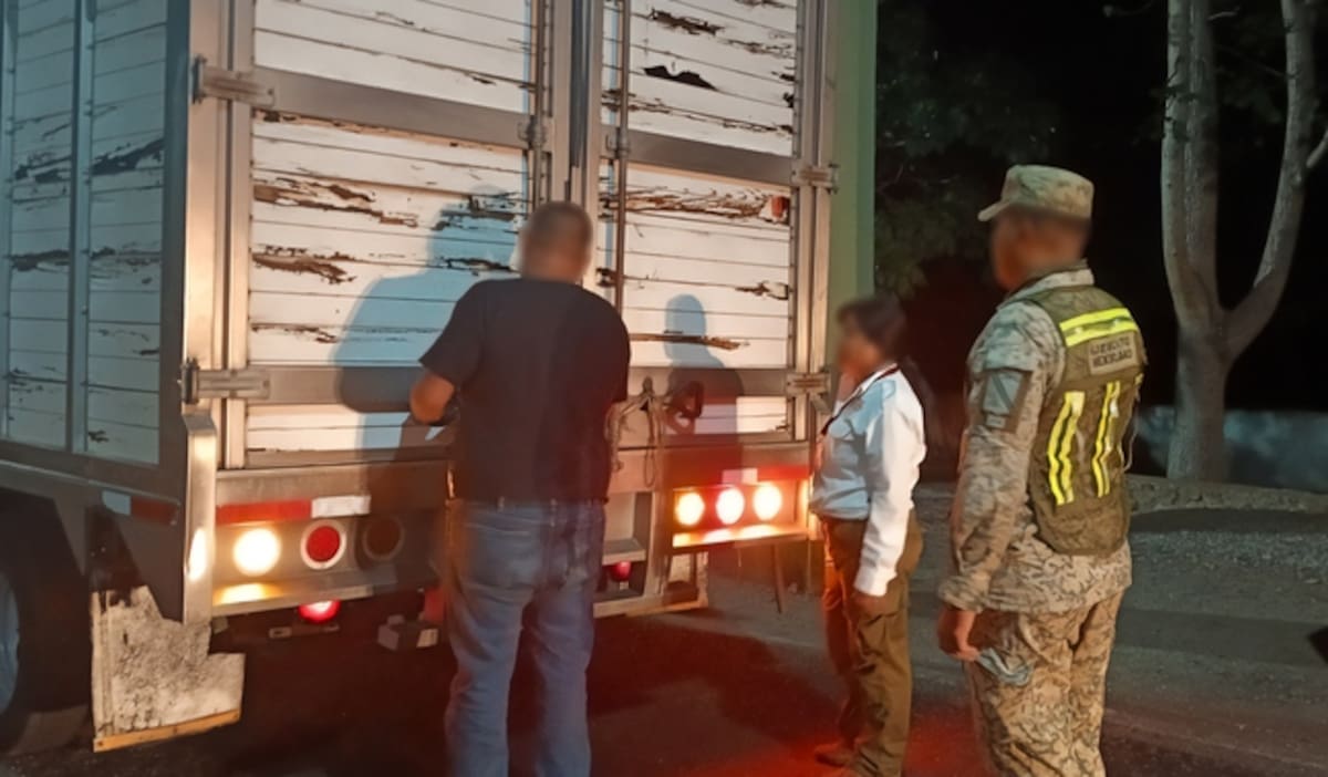 Profepa rescata 482 ejemplares de flora y fauna silvestre en operativo contra el tráfico ilegal en el sureste del país