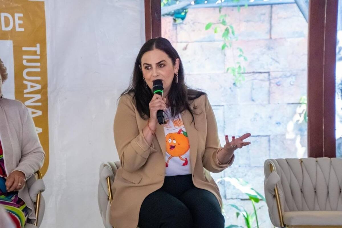 Colegios de abogados deben pedir registro de deudores para evitar más daño a las infancias: Karla Ruiz Macfarland