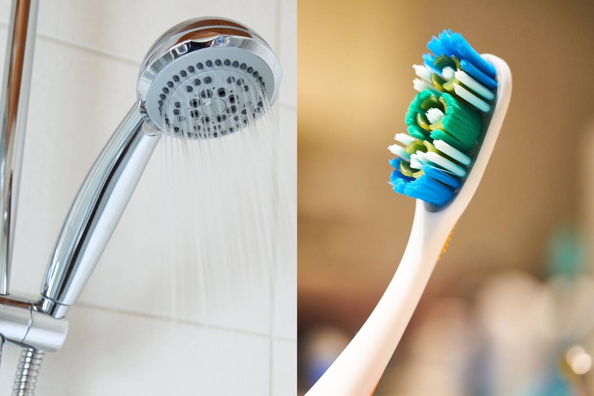 Investigadores descubren más de 600 virus en cabezales de ducha y cepillos de dientes