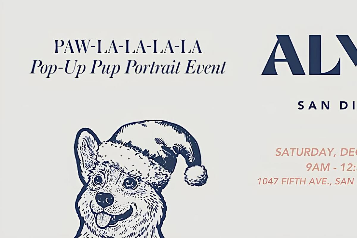 Paw-La-La-La-La Pop Up Pet Portraits with Santa