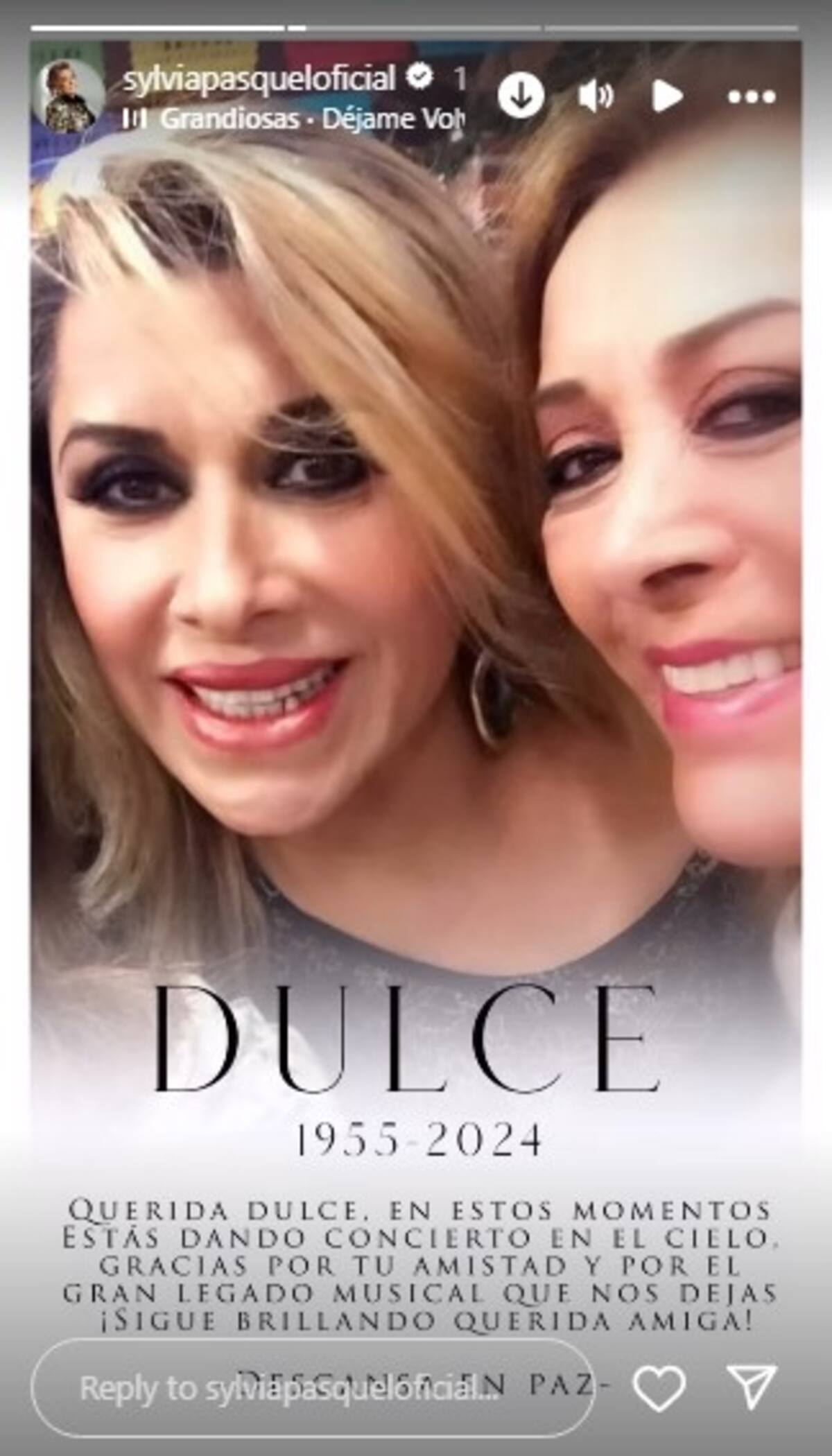 Sylvia Pasquel compartió una historia despidiéndose de Dulce / Instagram: @sylviapasqueloficial