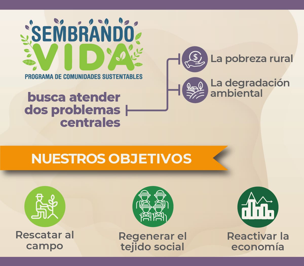 Imagen tomada de gob.mx/bienestar (2024)