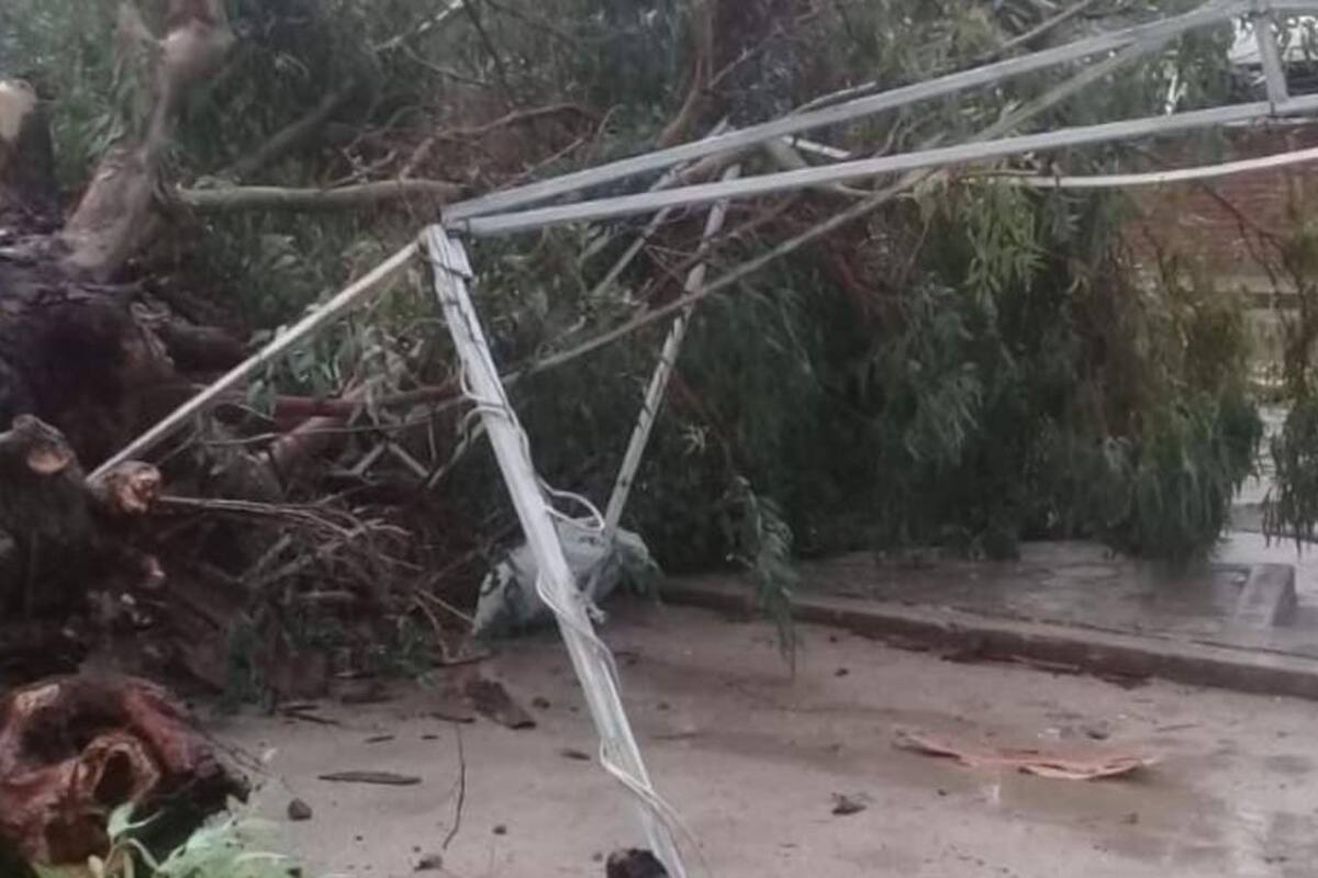 Anoche "fue más viento que lluvia" en Álamos