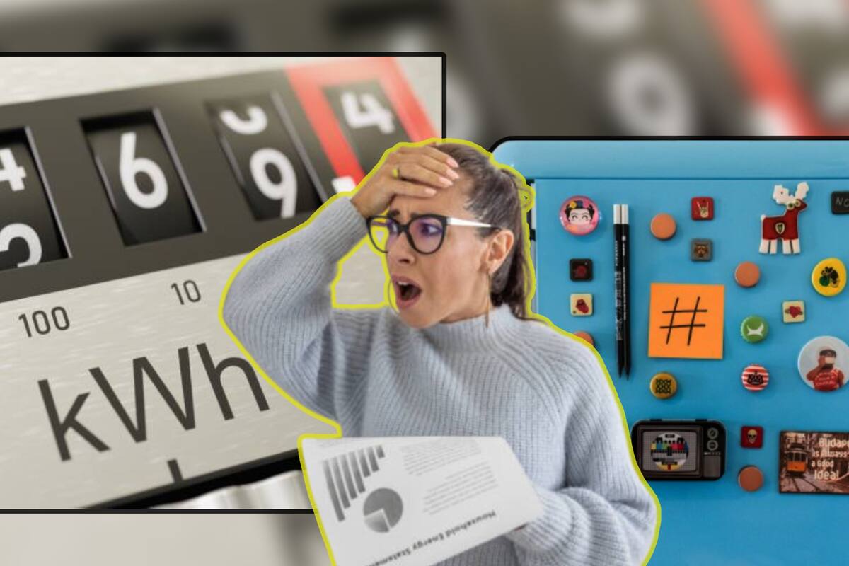 ¿Imanes en el refrigerador aumentan el gasto de energía? Expertos hablan y dan recomendaciones